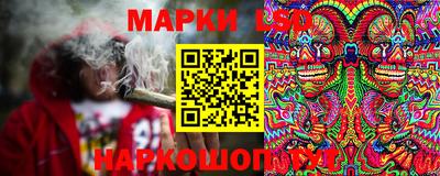 прущие грибы Краснокаменск