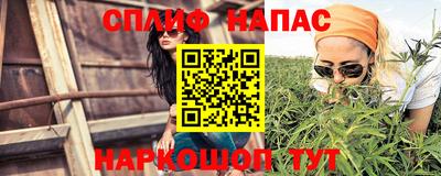 прущие грибы Краснокаменск