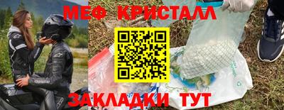 прущие грибы Краснокаменск