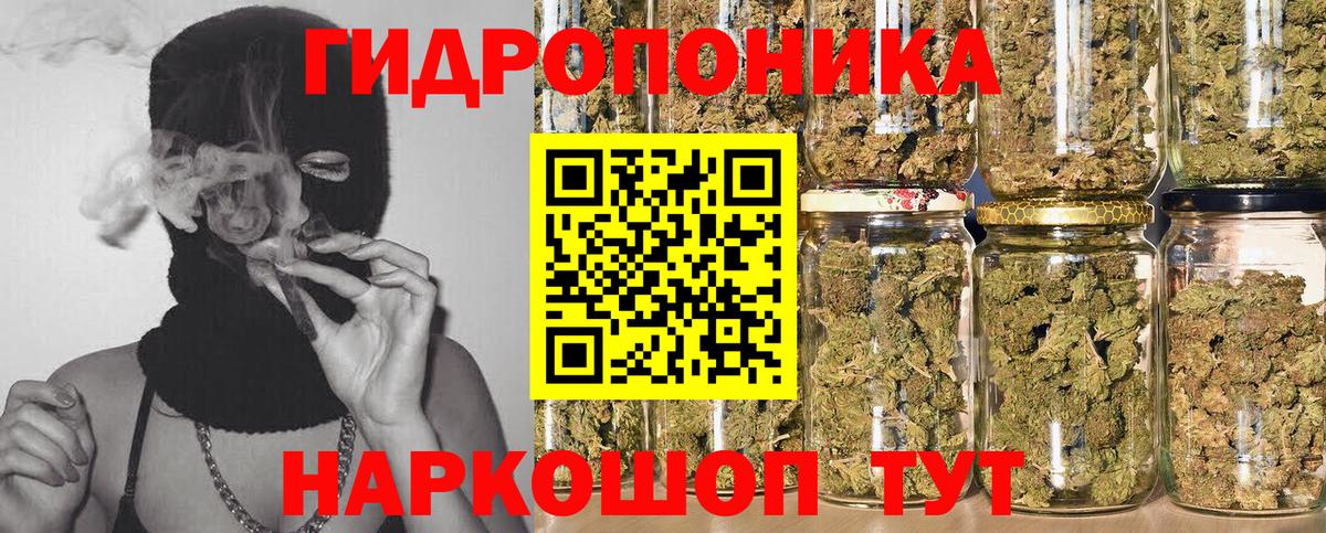 Бошки Шишки планчик  Шишки марихуана индика  Усть-Илимск  Вход с VPN 